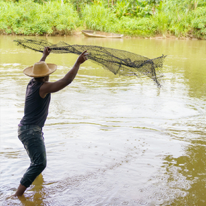 Quebradita (Solo de Marimba) [feat. Eryen Korath]