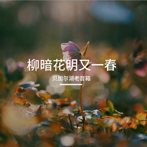 柳暗花明又一春