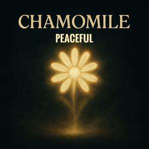 Huzurlu (Peaceful Soundtrack)