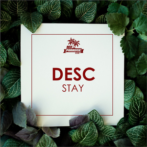 Stay (Original Mix)