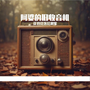 阿婆的旧收音机