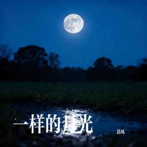 一样的月光