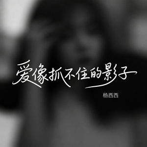 爱像抓不住的影子（原版）