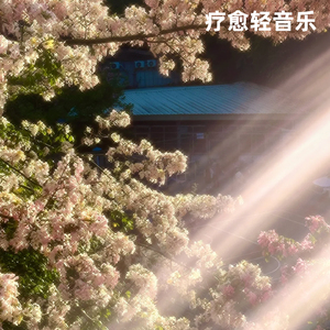 星空守望 (夜间守望璀璨星空的梦幻音)