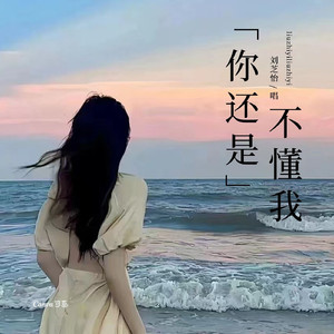 你还是不懂我