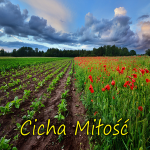 Cicha Miłosc