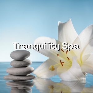 Shamanic Chants (with Waves Sound)