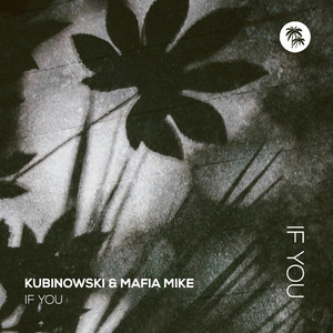 If You (Extended Mix)