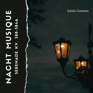 Serenade Kv 388-384A Nacht Musique (1. Allegro)