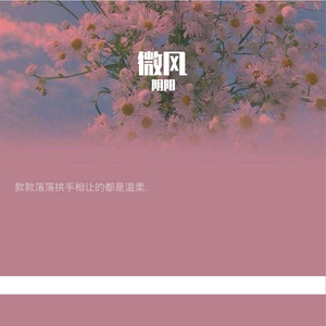 微风