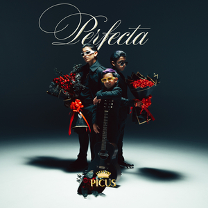 Perfecta