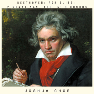 Sonatina in F Major, Anh. 5 No. 2 (Arr. for String Orchestra): II. Rondo. Allegro