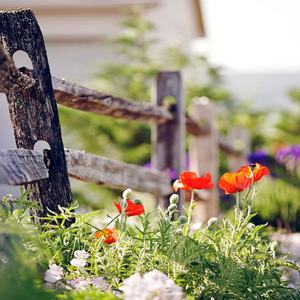 思念是一种病Remix