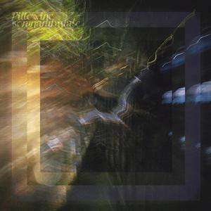 梦游 (Somnambulate)