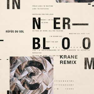Innerbloom (KRANE remix)