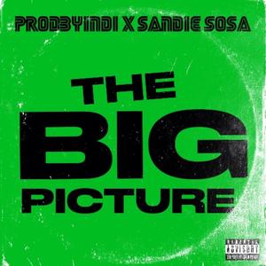 The Big Picture (feat. Sandie $osa)