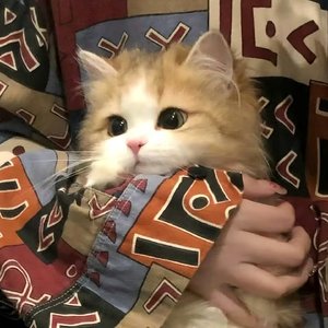 你赠予我的瞬间无比珍贵