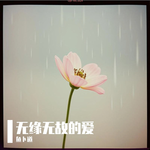 无缘无故的爱