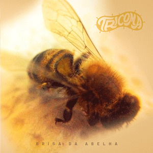 Brisa da Abelha