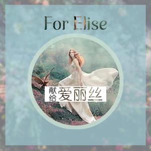 Bagatelle In A Minor-献给爱丽丝（DJZF / BIGGHOST95 remix）