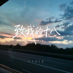 致我的十八