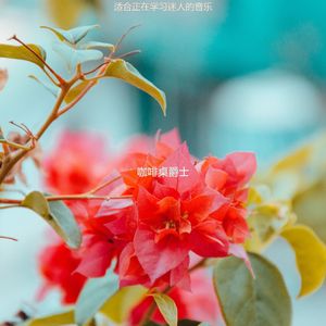 适合办公事务悦耳的音乐