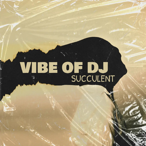 VIBE OF DJ
