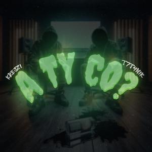 A TY CO (feat. t7t4nik)
