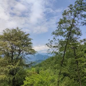 许多年以后_205949_track0_205949