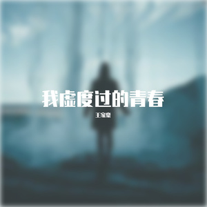我虚度过的青春