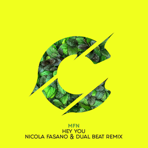 Hey You (Nicola Fasano & Dual Beat Remix)