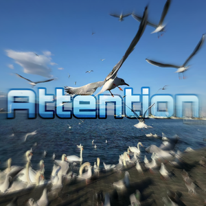 Attention
