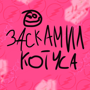 Заскамил Котуса