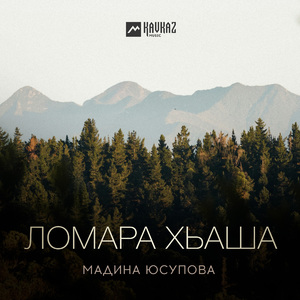 Ломара хьаша