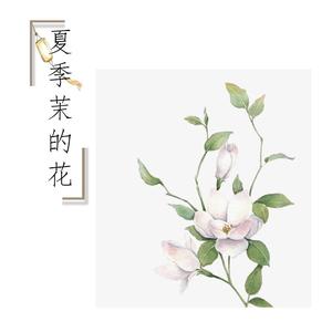 夏季茉的花