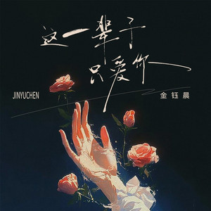 这一辈子只爱你