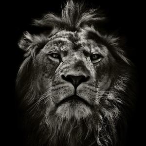 傲慢 Mephisto.Pheles（Prod by Slim Dyane.）