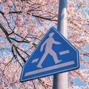 早樱与春（Prod.BECU BEATZ）