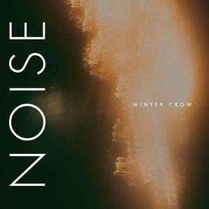 NOISE