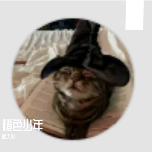 这城市欠我一场雪，而你欠我一句告别