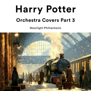 Dumbledore's Army Part 1