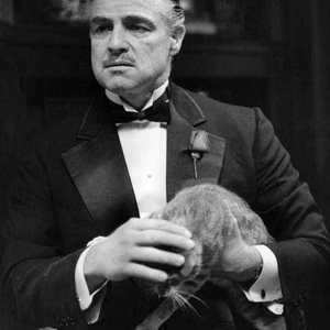 Speak Softly Love 木吉他（Cover Andy Williams）