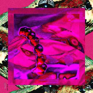 羌，多少和日历本231217