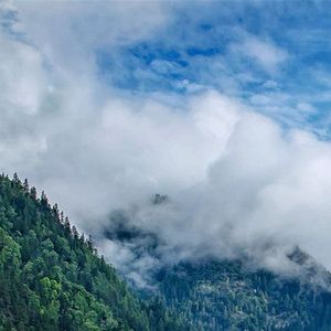 寻觅疗愈之光 (4)