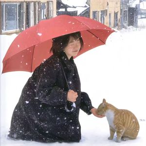 2024年的第一场雪