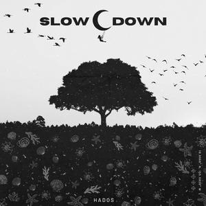 Slow Down