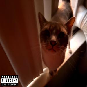 tlc (feat. Babycassy)