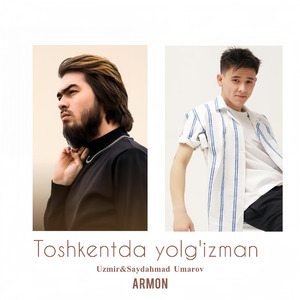 Toshkentda yolg'izman （remix)