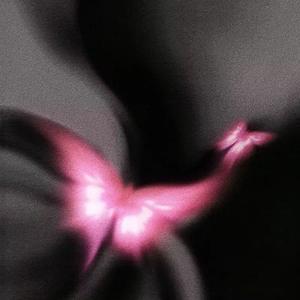 同频才能共鸣（纯音）