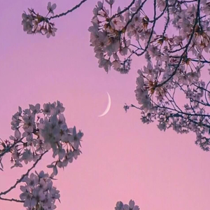 逃走（Prod.by Lisure）